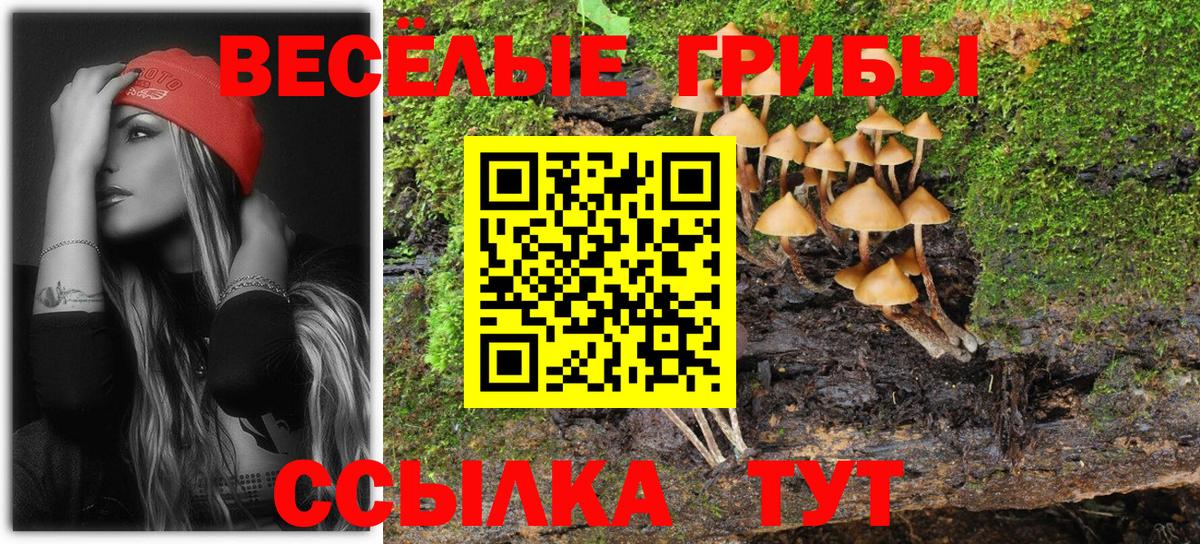 Галлюциногенные грибы Psilocybe Рассказово